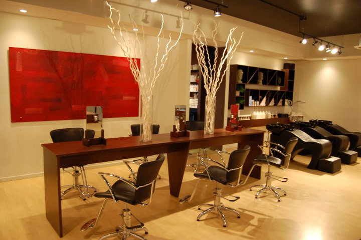 Fusion hairstudio